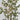 LED eucalyptus xmas tree