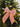 Antoinette Pearl Bow Decoration Pink crafted from beads and fabric measuring 22cm featuring a beautiful bow design adorned with delicate pearls, styled on a Christmas tree branch.