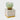 Teal glass tulip-shaped wisteria and willow scented candle lit, showcasing its fresh botanical design.