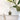 Hanging Star in green crafted from ceramic with natural twine shown in a decorative room setting.