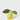 Artificial lemon with bright yellow hue and lush green leaves designed for merchandising displays and interior styling.