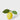 Lemon with Leaves