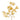 Medium view showcasing the delicate cream-coloured foliage and organic branching layout.