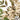 Detailed close-up view of the Pepper Berry Spray highlighting the intricate texture of the cream berry clusters and detailed green leaves.