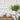 Ceramic Rope Dinner Plate