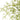 Smoke Tree Spray in green close-up view, detailed artificial foliage for floral arrangements.