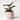 Jones & Co Spot Pot in Lavender and Orange, a terracotta indoor planter with a playful polka dot pattern and textured tweed base, styled with a houseplant.