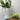 white jug, 20cm heigh, available at the white place, orange nsw