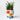 Bouquet pot jones & co