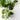 Floral interiors artificial plants