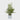Potted pine tree Christmas decoration