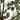 eucalyptus light up tree